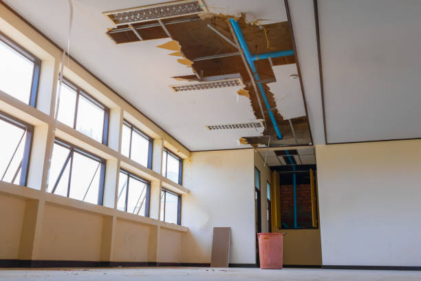 Best Fire Damage Restoration  in White Oak, MS
