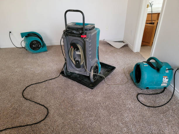 Best Sewage cleanup and water damage restoration  in White Oak, MS