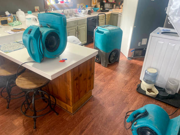 Best Residential water damage restoration  in White Oak, MS