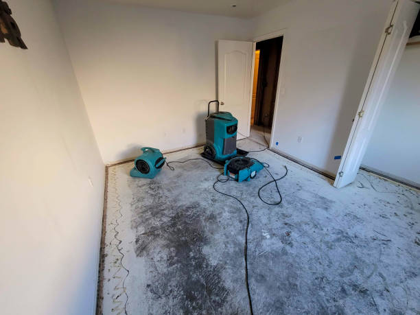 Best Water damage restoration near me  in White Oak, MS