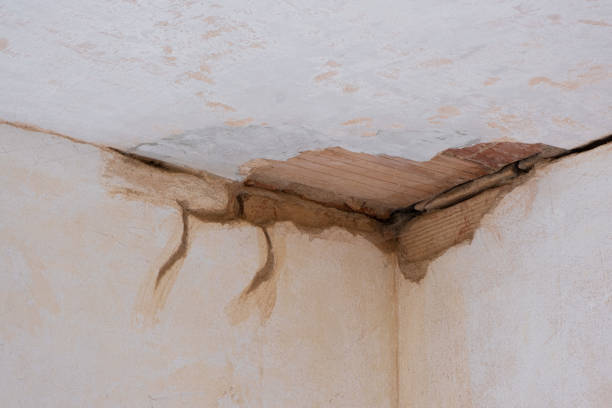 Best Emergency water damage restoration  in White Oak, MS