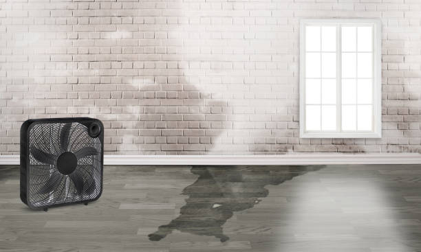Best Commercial water damage restoration  in White Oak, MS