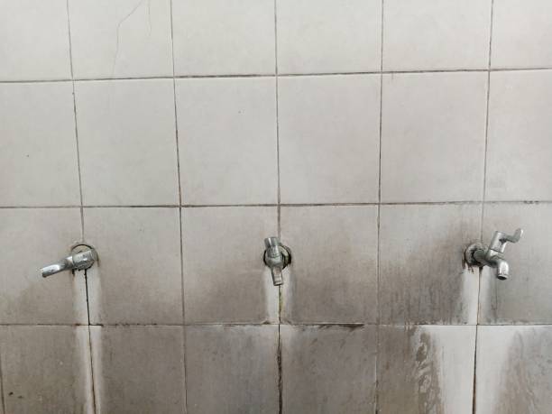 Best Residential water damage restoration  in White Oak, MS