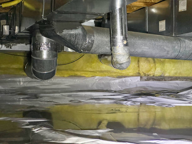 Best Mold removal after water damage  in White Oak, MS