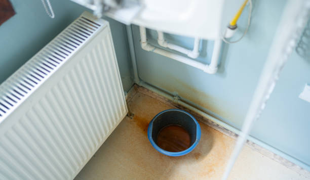 Best Water damage repair service  in White Oak, MS