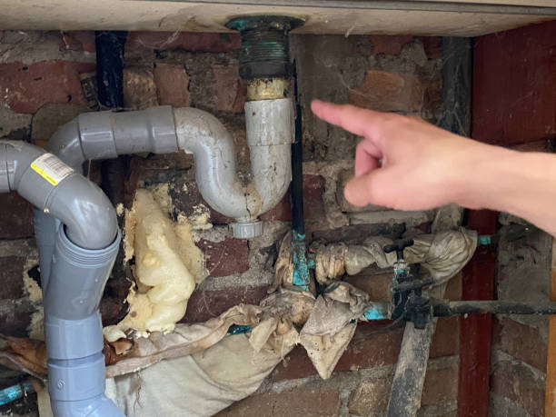 Best Local water damage restoration  in White Oak, MS