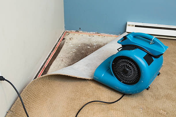 Best Flood damage cleanup  in White Oak, MS